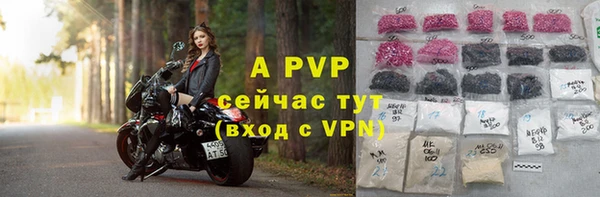 МДПВ Бородино